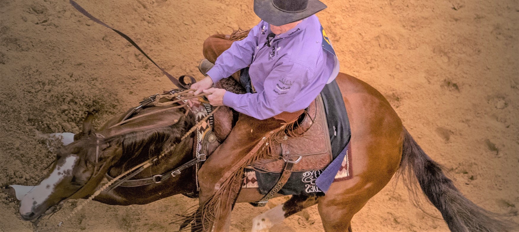 Cutting Horse Tack by Martin Saddlery